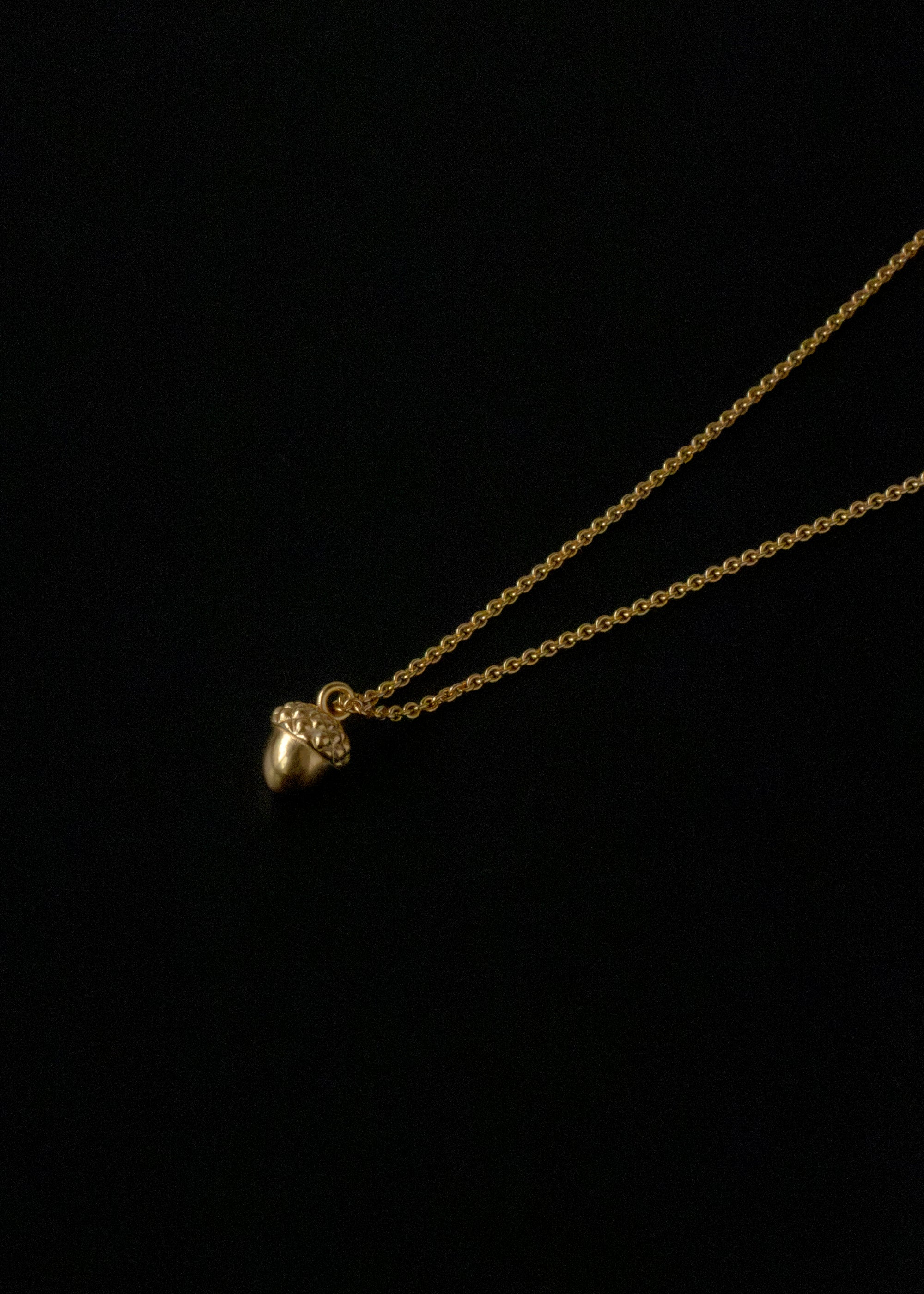 Acorn charm necklace - IDAMARI