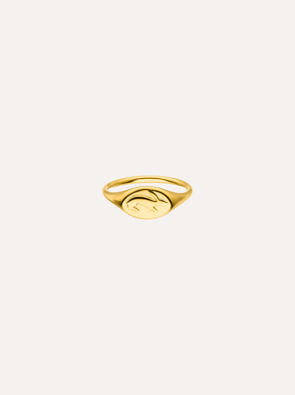 Hare signet ring - IDAMARI