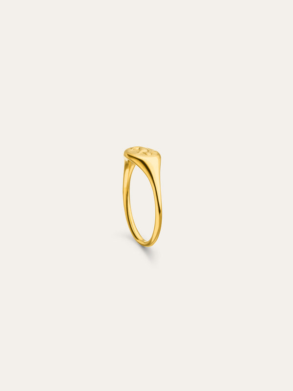 Hare signet ring - IDAMARI