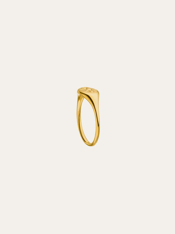 Hare signet ring - IDAMARI